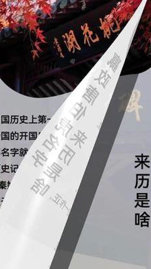 下期 金庸笔下,那些富有东方神韵的名字 起名 起名改名 金庸 