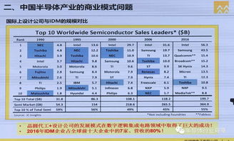 美国idm公司是做什么的