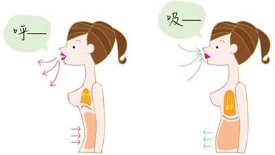 想学会唱歌 请你先学会唱歌的呼吸