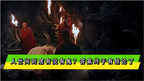 岑嶽散人鬼鬼塔罗 2021 32周全阶塔罗课程第三期(视频课程+详细PPT)