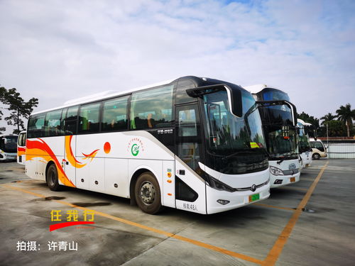 22 53座旅游大巴车租赁 