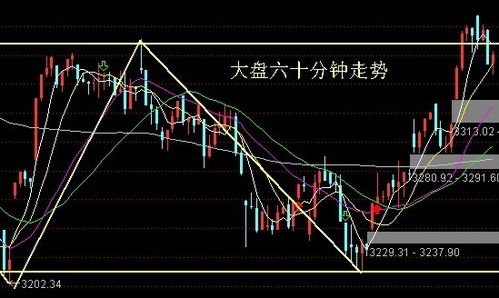 收评：缩量反弹，后市如何？