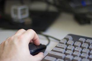 掌握鼠标键盘使用方法，提升办公效率的秘诀