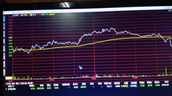 股票里的分时走势图怎么看的？红线和黄线分别代表什么意思啊？