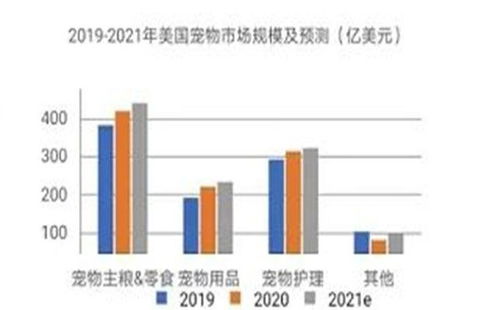 铲屎官养出千亿新市场,宠物赛道持续火热,又是一门好生意