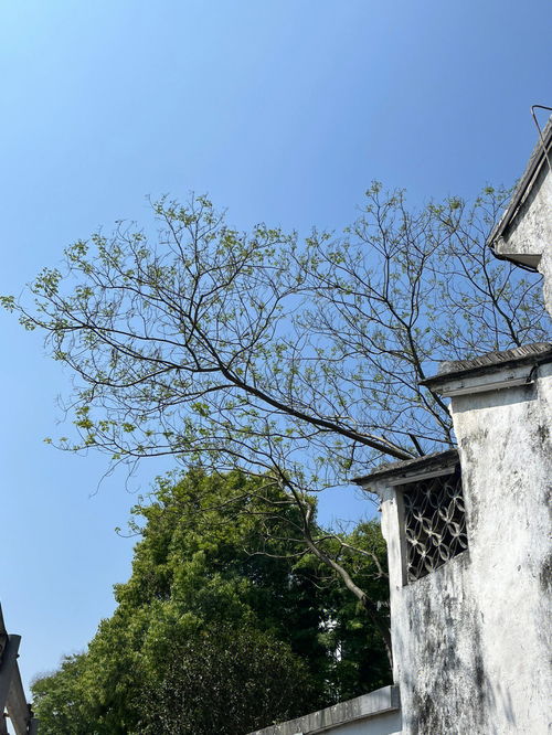 旅游风光分享 嘉兴平湖一日游 