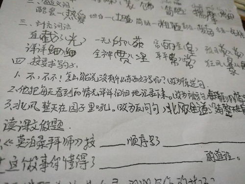 用语言怎么造句  语言描写的四个句子？