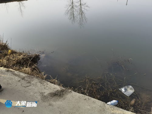 信阳乡党委书记罹难鱼塘旁的道路无路灯无护栏,一年内发生多起事故