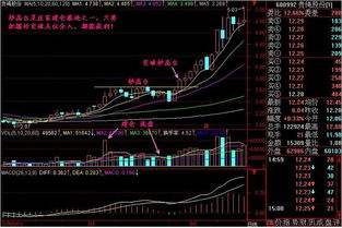 一个高手，能在2年内用1万在股票市场里赚到100万吗？