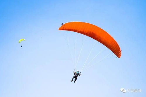 酷炫滑翔伞 热气球空降新洲人民广场 万达文旅城请你看电影