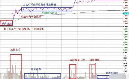 一只股票拉了一个一字板，想追上去可以成功吗？单子能下成功吗?