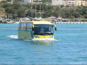 能在水上行驶的私人汽车 巴士有哪些 