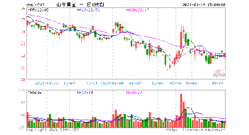 6月长线买什么股票好