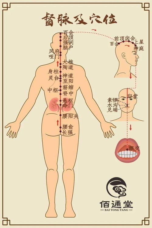 青筋暴突词语解释;暴露无疑这个成语对不对？