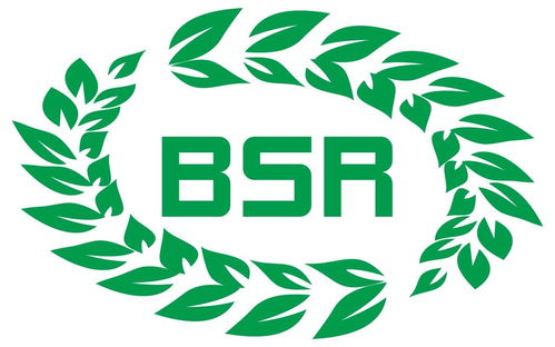 bsr(bsr蓝天救援是什么意思？)