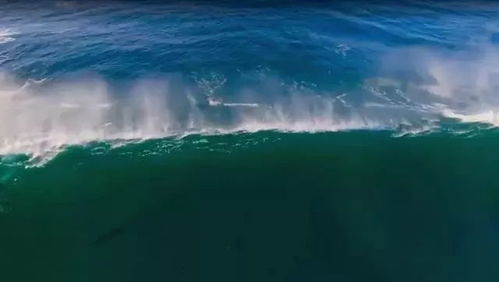 海洋 豆瓣 9.9 分 一部关于海洋的纪录片 每一帧美得像幅画