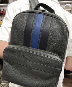 这款背包的蓝条纹是什么蓝 具体色号是多少 