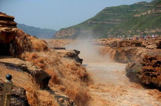 黄河水其实并不脏,浑浊只是假象,而且这里还盛产鲤鱼