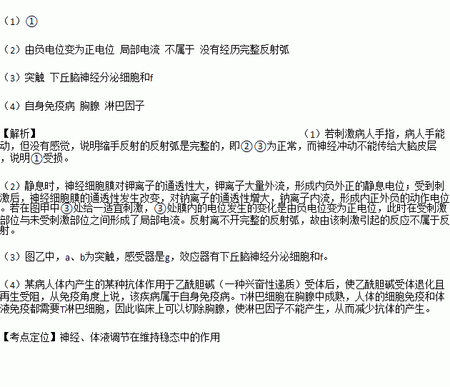 下丘脑细胞有哪些类别？ 下丘脑神经分泌细胞是干什么的？