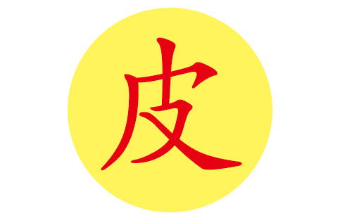 皮姓宝宝好听的名字