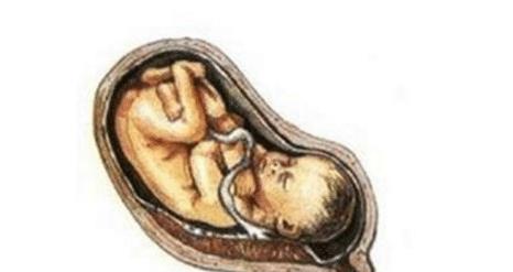 胎儿不稳定症状有哪些 孕早期孕中晚期表现有不同