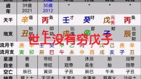 戊子日八字解析