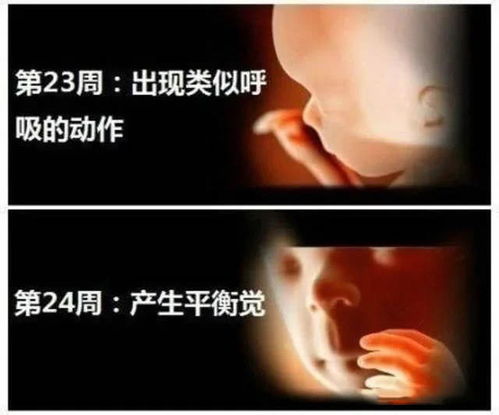 怀孕20 24周胎儿情况,孕妈身体有3个变化,缺钙和耻骨痛最明显