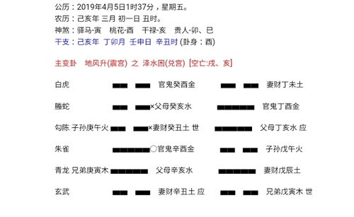 摇的两个卦 