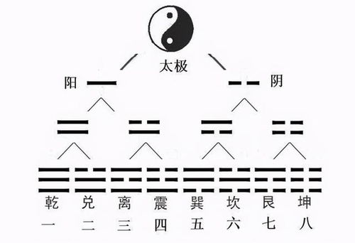 最能体现中国思想神秘的太极图,到底暗藏怎样的玄机