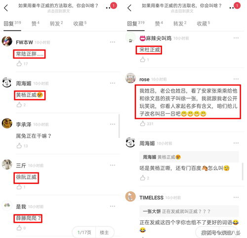 用秦牛正威的方法取名,你会叫什么