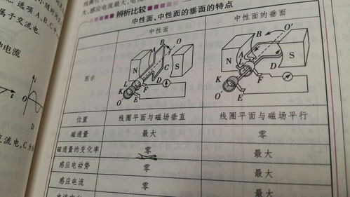 中性面和垂直中性面图片