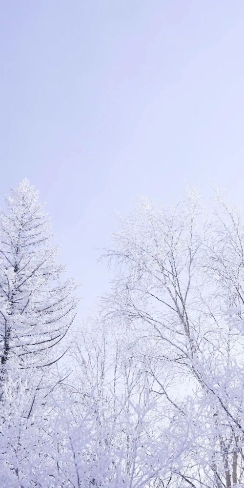 壁纸 适合冬天用的雪景壁纸