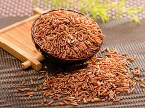 红米的营养价值及功效（红米怎么煮好吃又营养）