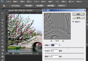 照片导入Photoshop CS6里之后,图片显示模糊怎么调整