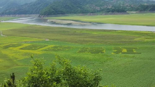 长津湖 取景地曝光,这四个冷门旅行地藏不住了