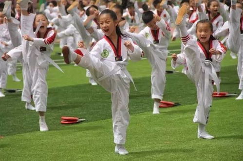 藏族迎宾舞 跆拳道 花式篮球 济南市市中区 一校一品 体育成果现场展示 一 