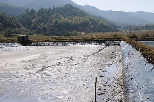 寒潮一波接一波,工厂化冬棚对虾冷应激不得防