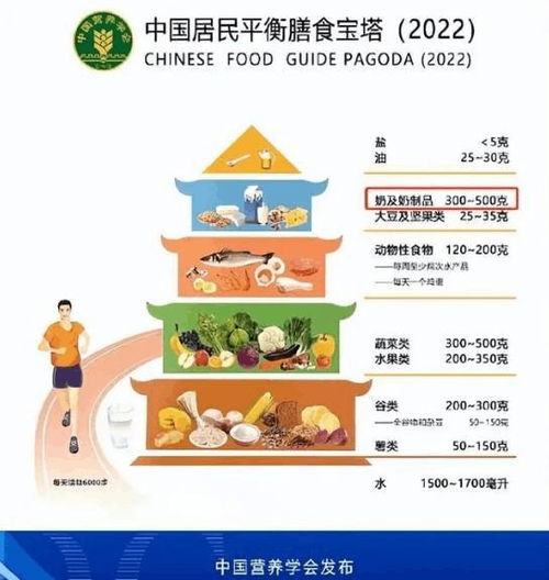 三岁以内不建议吃奶酪(三岁以下宝宝为什么不能吃奶酪棒)