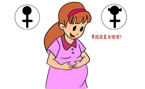 一举得男的秘方 快速怀孕的备孕方法 健康备孕 生男生女帮 