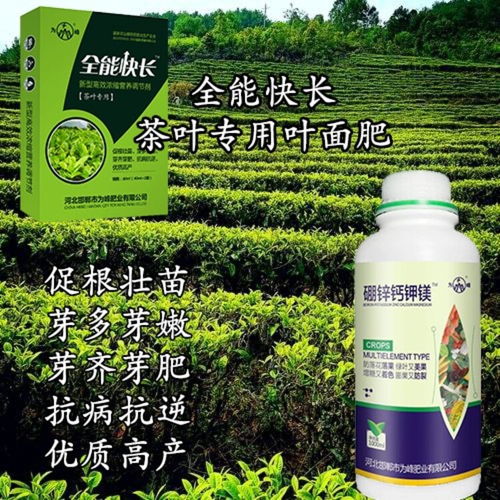 茶树用什么肥料长得快,茶叶怎样管理芽头粗壮？