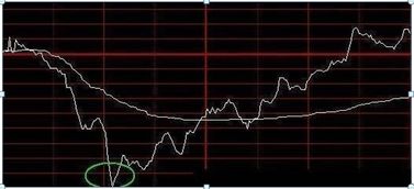 algo价格今日实时行情