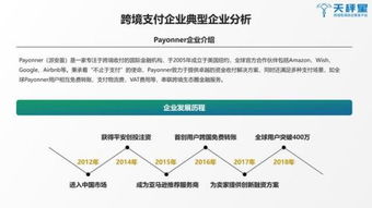 2019跨境支付行业白皮书 