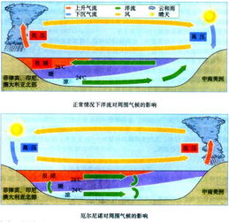 厄尔尼诺是什么