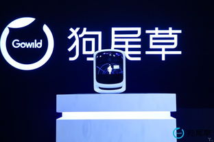 Gowild获1.5亿元战略融资,将推动AI虚拟生命大战略 