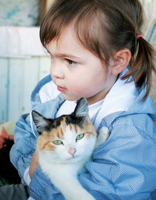 画猫女孩的奇幻之旅，画猫的女孩故事概括