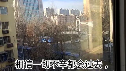 石家庄会一直封城吗(石家庄会不会封城)