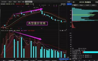 低位无量涨停高位大量换手什么意思