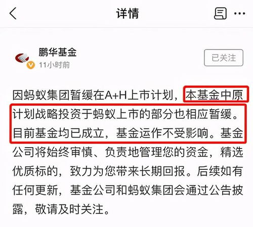 买了1000快钱的蚂蚁基金。要是全部亏完会不会负债？扣余额宝的钱