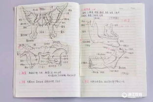 解剖学笔记图片手写 搜狗图片搜索