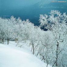 冬天雪景0280 冬天雪景图 自然风景图库 雪地 蓝天 冬季 